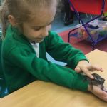 Y2 Animal handling workshop
