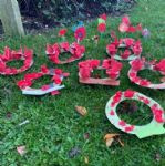 poppies3