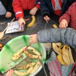 BananaMealworms