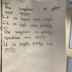 adjectives