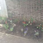 JubileeGarden