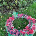 thumbnailIMG1668